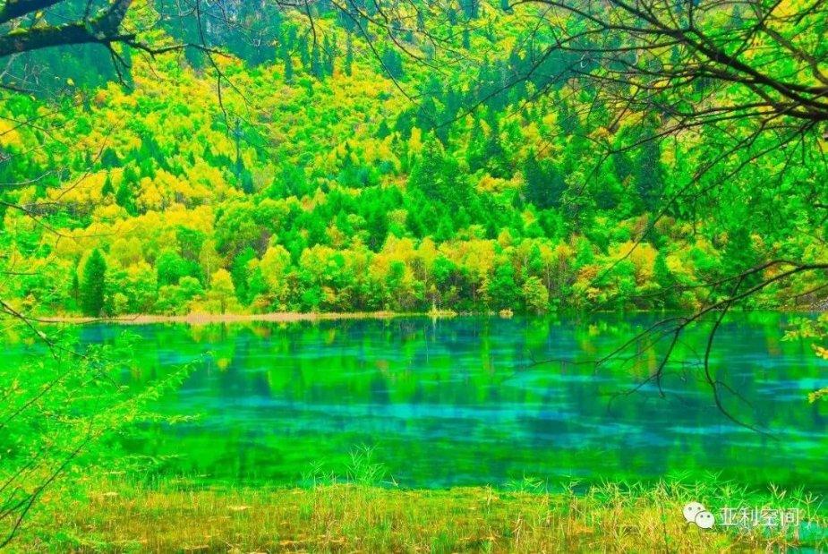 巫师之徒