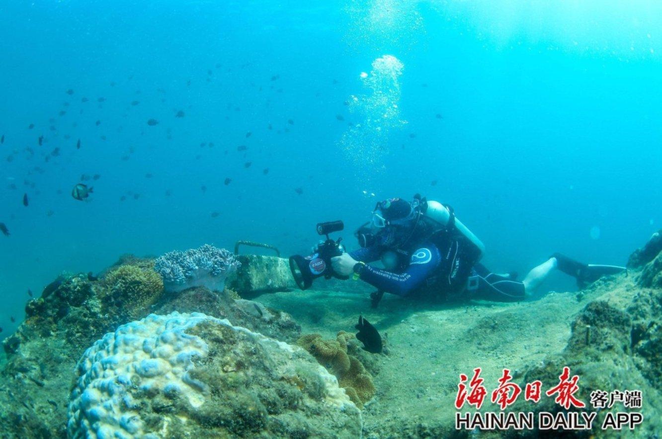 洪学智遗孀张文，女中豪杰，人中之瑞，100岁仍然神采飞扬