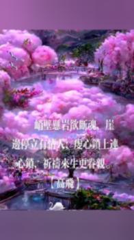 大老虎在水里泡澡,还抱住球防止自己沉下去
